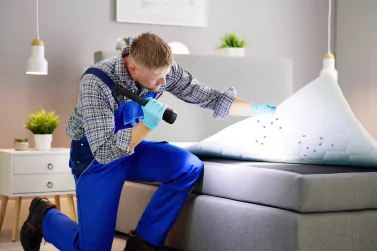 Bed Bugs Control Camberwell