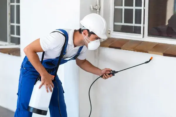 Pest Control Camberwell
